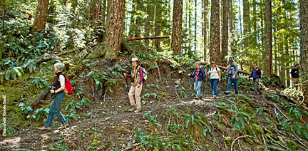 santiam wagon road hikers graphic
